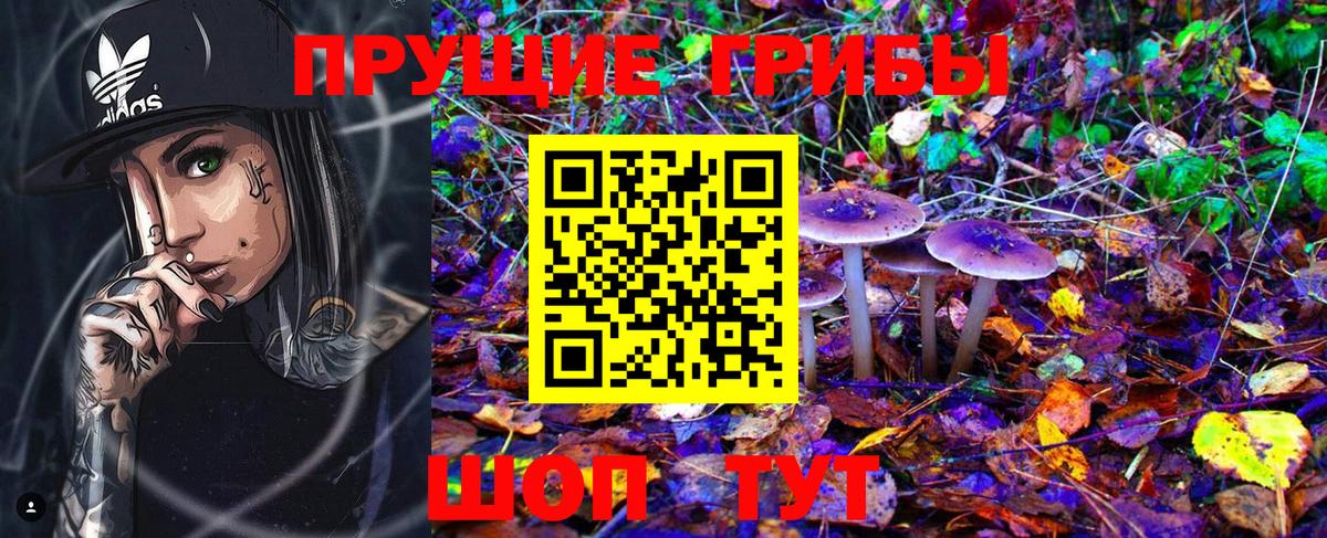 Галлюциногенные грибы Cubensis  Вход с VPN  Славянск-на-Кубани  Галлюциногенные грибы Psilocybine cubensis 